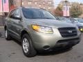 2009 Natural Khaki Hyundai Santa Fe GLS 4WD  photo #1