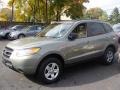 2009 Natural Khaki Hyundai Santa Fe GLS 4WD  photo #4