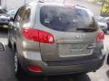 Natural Khaki - Santa Fe GLS 4WD Photo No. 5