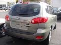 Natural Khaki - Santa Fe GLS 4WD Photo No. 7