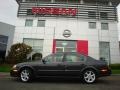 Gray Lustre Metallic - Maxima SE Photo No. 6