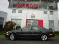 2002 Gray Lustre Metallic Nissan Maxima SE  photo #6