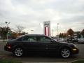 Gray Lustre Metallic - Maxima SE Photo No. 34