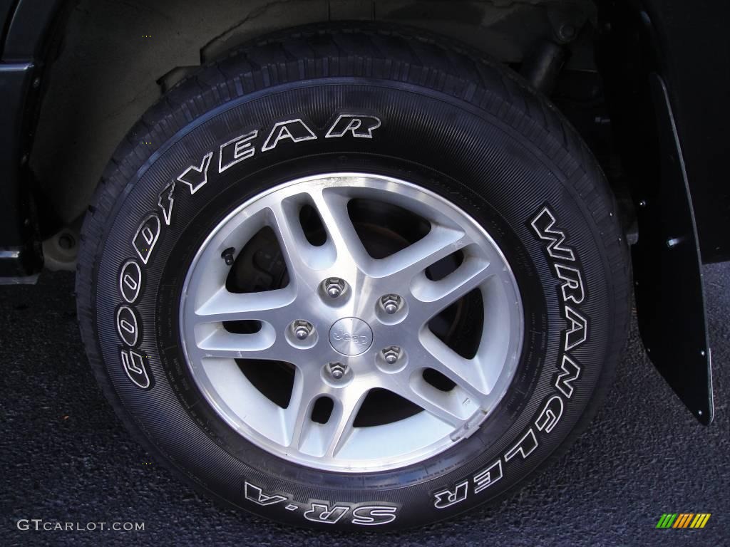 2004 Grand Cherokee Special Edition 4x4 - Brillant Black Crystal Pearl / Dark Slate Gray photo #7