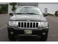 2004 Brillant Black Crystal Pearl Jeep Grand Cherokee Limited 4x4  photo #2