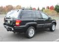 2004 Brillant Black Crystal Pearl Jeep Grand Cherokee Limited 4x4  photo #5