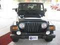 2005 Deep Beryl Green Pearl Jeep Wrangler Sport 4x4  photo #8