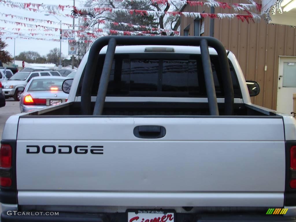 2001 Ram 1500 SLT Regular Cab - Bright Silver Metallic / Mist Gray photo #5