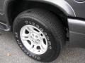 Graphite Metallic - Durango SLT 4x4 Photo No. 9