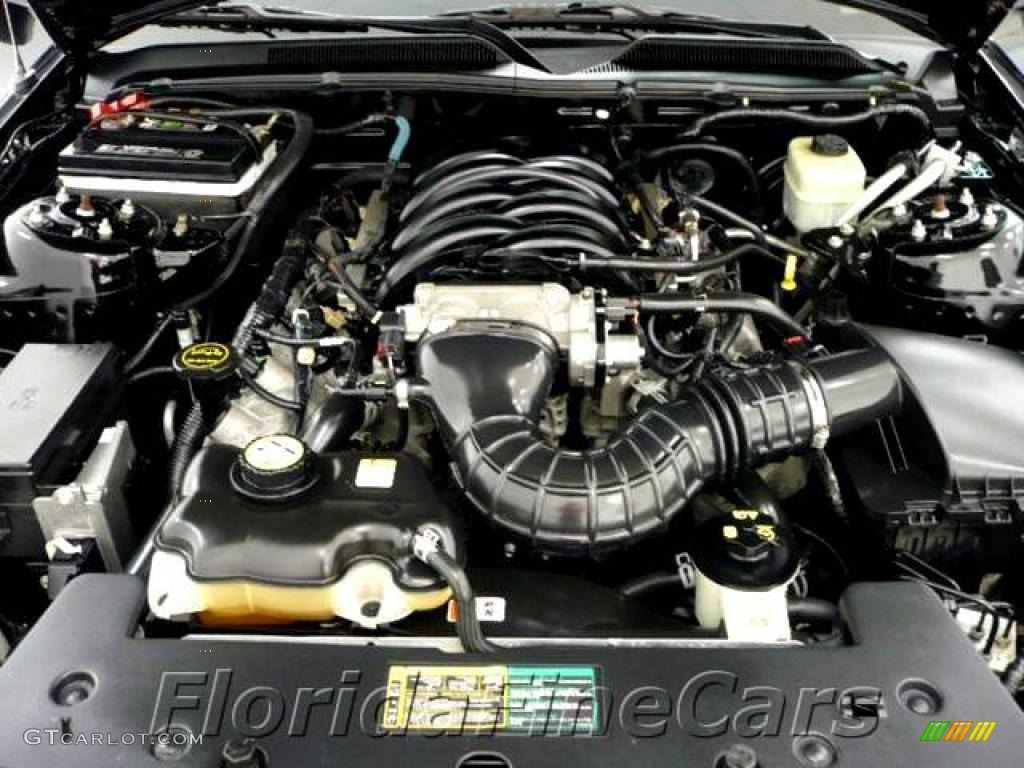 2006 Mustang GT Premium Convertible - Black / Dark Charcoal photo #10