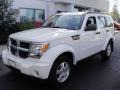 Stone White - Nitro SE 4x4 Photo No. 2