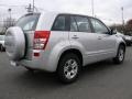 Quicksilver Metallic - Grand Vitara  Photo No. 4