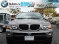 Sterling Grey Metallic - X5 3.0i Photo No. 2