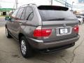 Sterling Grey Metallic - X5 3.0i Photo No. 2