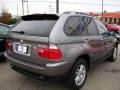 Sterling Grey Metallic - X5 3.0i Photo No. 5