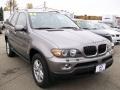Sterling Grey Metallic - X5 3.0i Photo No. 7
