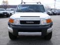 Titanium Metallic - FJ Cruiser 4WD Photo No. 8