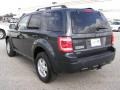 2009 Black Pearl Slate Metallic Ford Escape XLT V6  photo #5