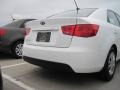 2010 Clear White Kia Forte LX  photo #4