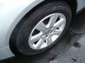 Reflex Silver Metallic - Passat 2.0T Wagon Photo No. 9