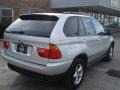 2002 Titanium Silver Metallic BMW X5 3.0i  photo #8