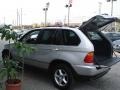 2002 Titanium Silver Metallic BMW X5 3.0i  photo #35