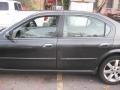 Gray Lustre - Maxima GLE Photo No. 9