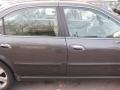 Gray Lustre - Maxima GLE Photo No. 15