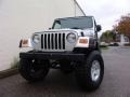 2004 Bright Silver Metallic Jeep Wrangler Rubicon 4x4  photo #1