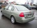 2005 Silver Green Metallic Chevrolet Malibu Sedan  photo #3