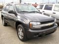 2007 Graphite Metallic Chevrolet TrailBlazer LS 4x4  photo #8