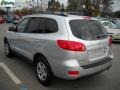 Bright Silver - Santa Fe GLS 4WD Photo No. 5