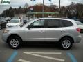 Bright Silver - Santa Fe GLS 4WD Photo No. 6