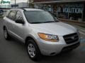 Bright Silver - Santa Fe SE 4WD Photo No. 1