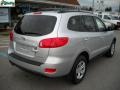Bright Silver - Santa Fe SE 4WD Photo No. 3