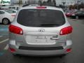Bright Silver - Santa Fe SE 4WD Photo No. 4