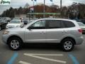 Bright Silver - Santa Fe SE 4WD Photo No. 6