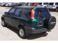 Clover Green Pearl - CR-V LX 4WD Photo No. 3