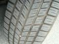 Gold Ash Metallic - Grand Marquis GS Photo No. 14