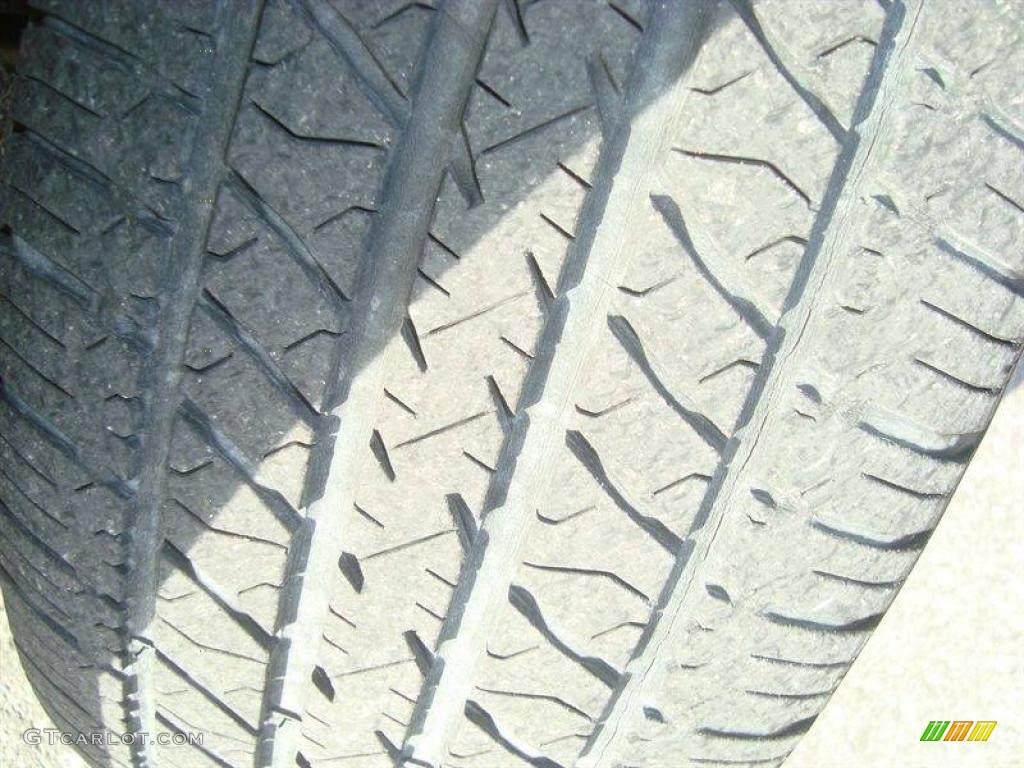 2006 Grand Marquis GS - Tungsten Metallic / Medium Light Stone photo #14