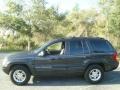 Deep Slate Pearl - Grand Cherokee Limited 4x4 Photo No. 2