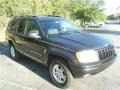 Deep Slate Pearl - Grand Cherokee Limited 4x4 Photo No. 11