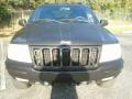Deep Slate Pearl - Grand Cherokee Limited 4x4 Photo No. 13