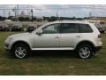 White Gold Metallic - Touareg 2 VR6 Photo No. 2