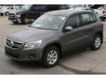 Alpine Grey Metallic - Tiguan S Photo No. 20