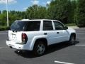 2007 Summit White Chevrolet TrailBlazer LS  photo #23