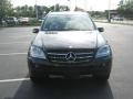 Black - ML 350 4Matic Photo No. 24