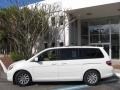 Taffeta White - Odyssey Touring Photo No. 5