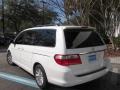 Taffeta White - Odyssey Touring Photo No. 6