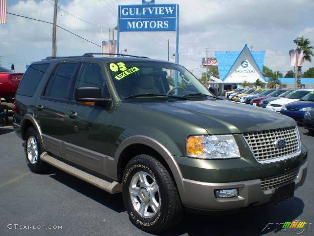 2003 Expedition Eddie Bauer - Estate Green Metallic / Medium Parchment photo #1